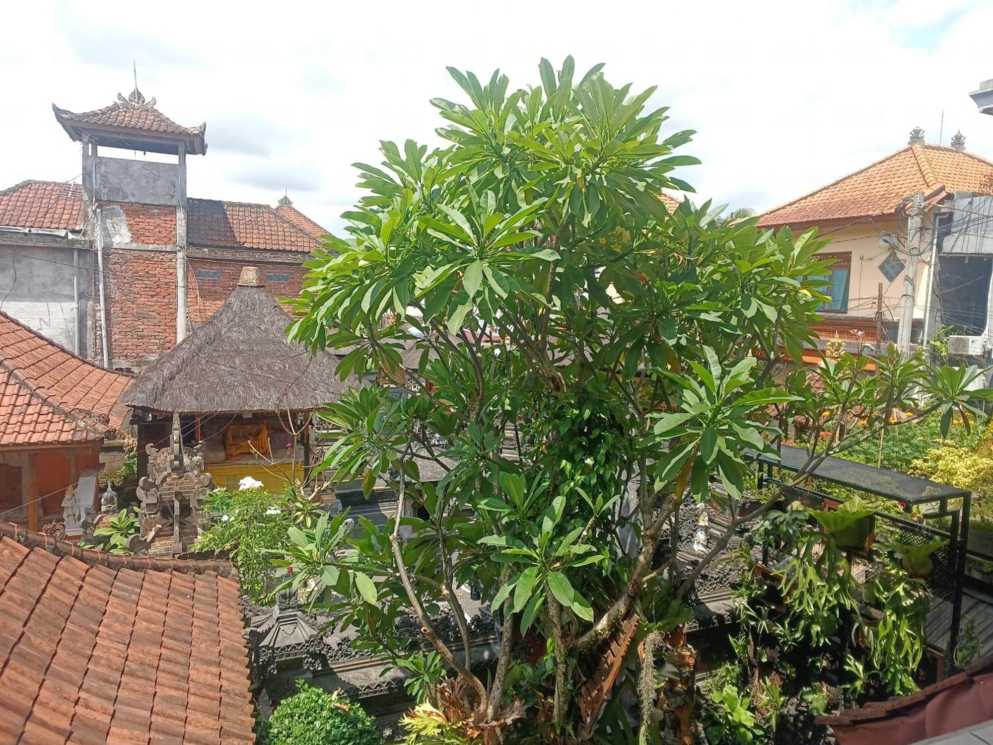Arjuna Homestay Ubud Dış mekan fotoğraf